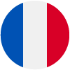 Language icon